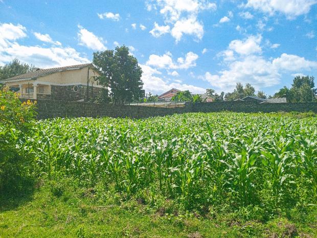 1/4 Acre Plot for Sale in Olive Inn Estate, Nakuru, Kiamunyi