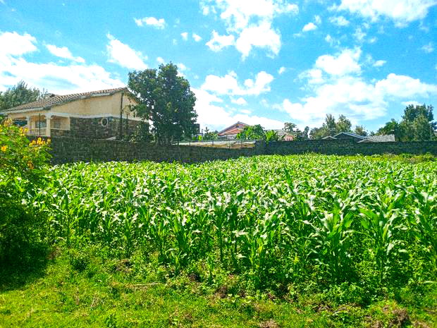 1/4 Acre Plot for Sale in Olive Inn Estate, Nakuru, Kiamunyi