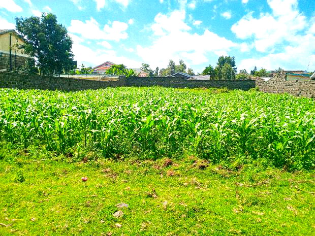 1/4 Acre Plot for Sale in Olive Inn Estate, Nakuru, Kiamunyi