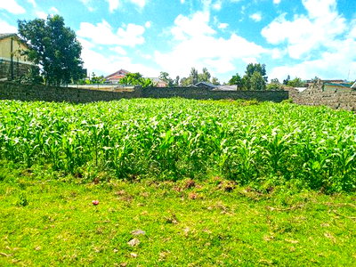 1/4 Acre Plot for Sale in Olive Inn Estate, Nakuru, Kiamunyi - Image 3