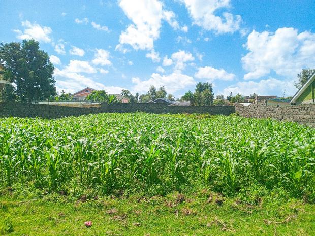 1/4 Acre Plot for Sale in Olive Inn Estate, Nakuru, Kiamunyi