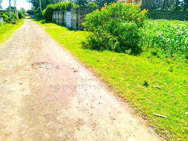 1/4 Acre Plot for Sale in Olive Inn Estate, Nakuru, Kiamunyi