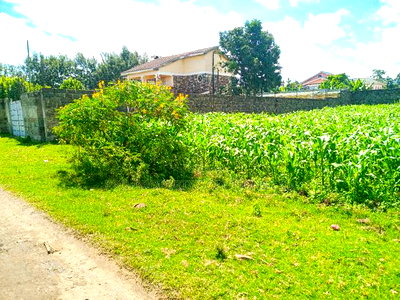 1/4 Acre Plot for Sale in Olive Inn Estate, Nakuru, Kiamunyi - Image 9