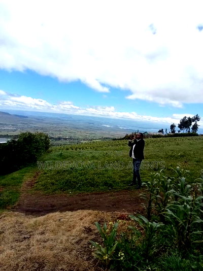 Land on Sale at Flyover Naivasha - Image 4