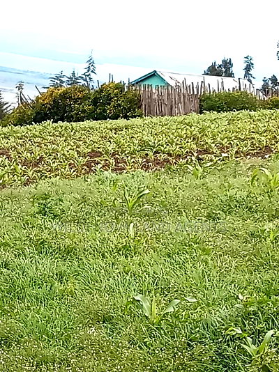 Land on Sale at Flyover Naivasha - Image 6