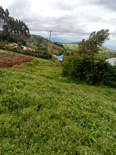 Land on Sale at Flyover Naivasha - Image 2