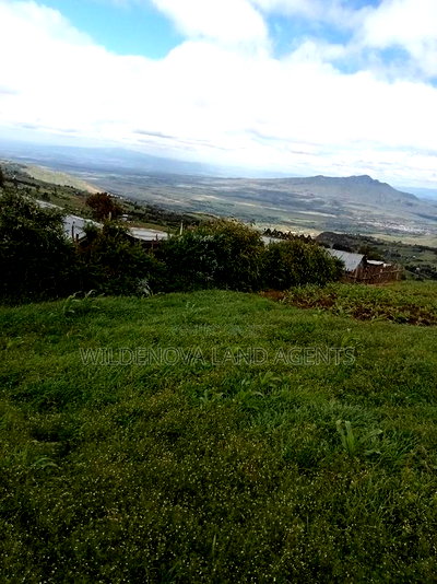 Land on Sale at Flyover Naivasha - Image 3