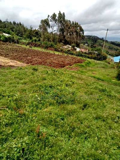 Land on Sale at Flyover Naivasha - Image 1