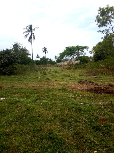 For Sale One Eighth Several Plots Kikambala - Image 3