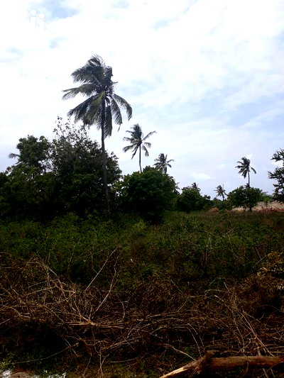 For Sale One Eighth Several Plots Kikambala - Image 2