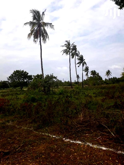 For Sale One Eighth Several Plots Kikambala - Image 1