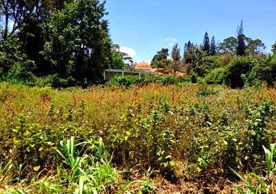 Quarter Acre Plot in Riruta for KSh 23M