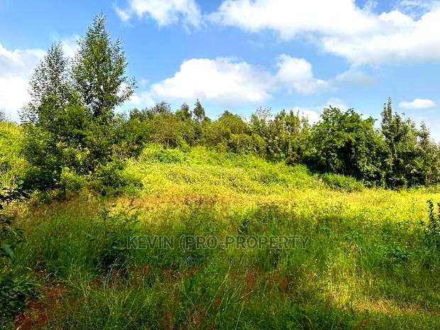 Residential Plot for Sale in Kikuyu, Ondiri-Kiambu County.