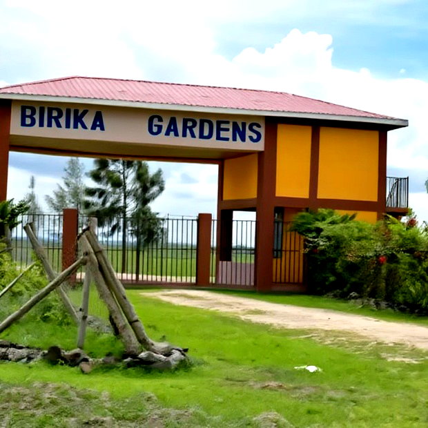 Birika Plots