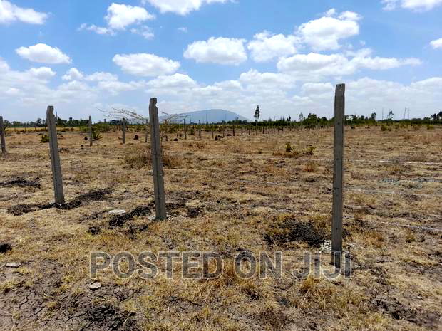 Cheap Plots In Kamulu