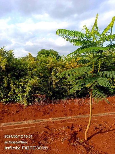 A Quarter an Acre Plot for Sale at Ruiru Daykio Bustani - Image 1