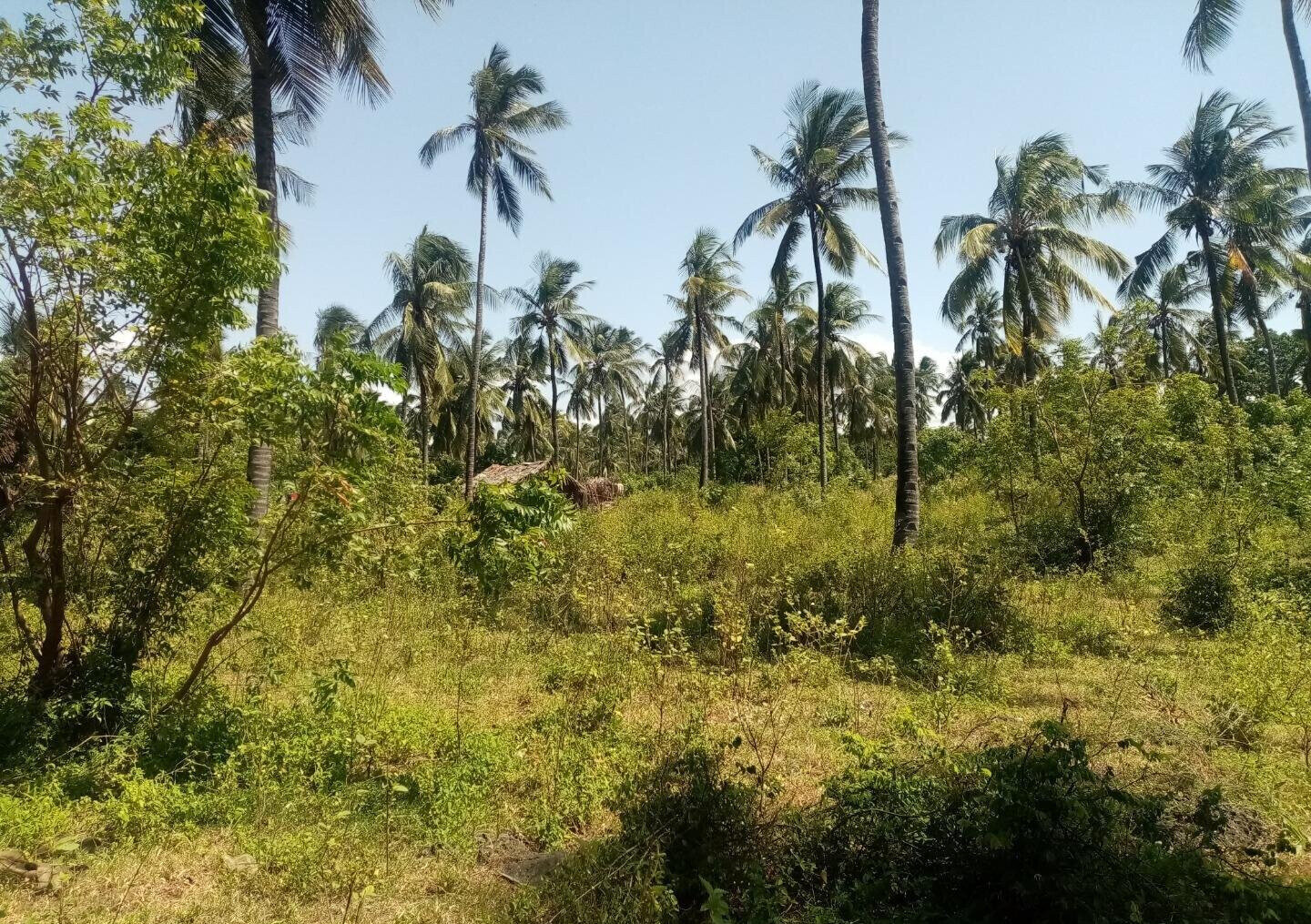 1/8 Acre Plot Near Watamu
