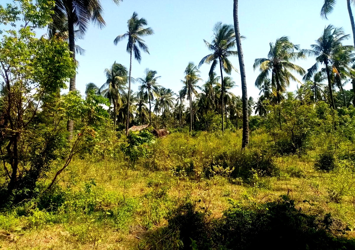 1/8 Acre Plot Near Watamu