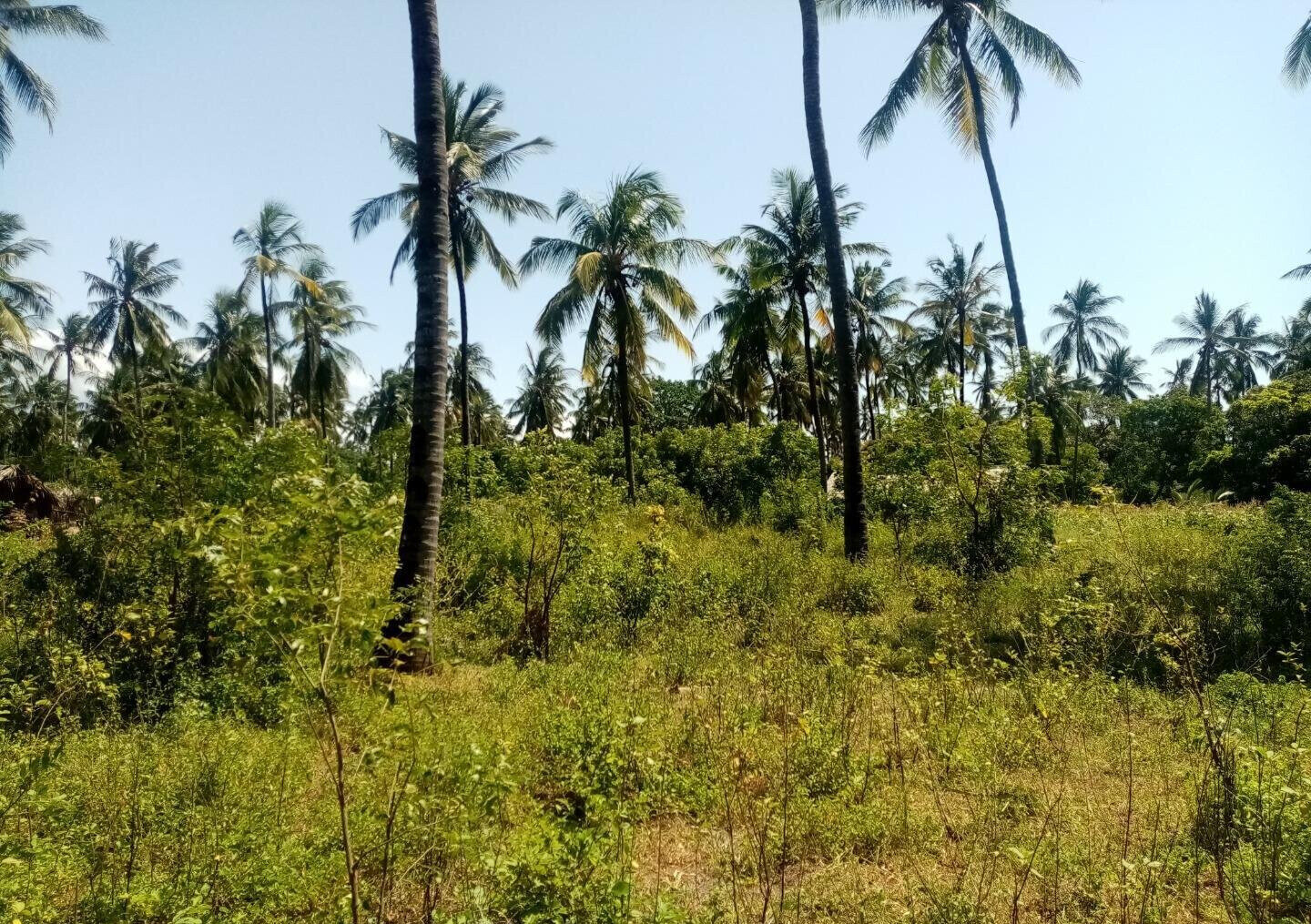 1/8 Acre Plot Near Watamu