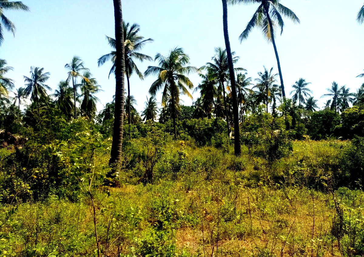 1/8 Acre Plot Near Watamu