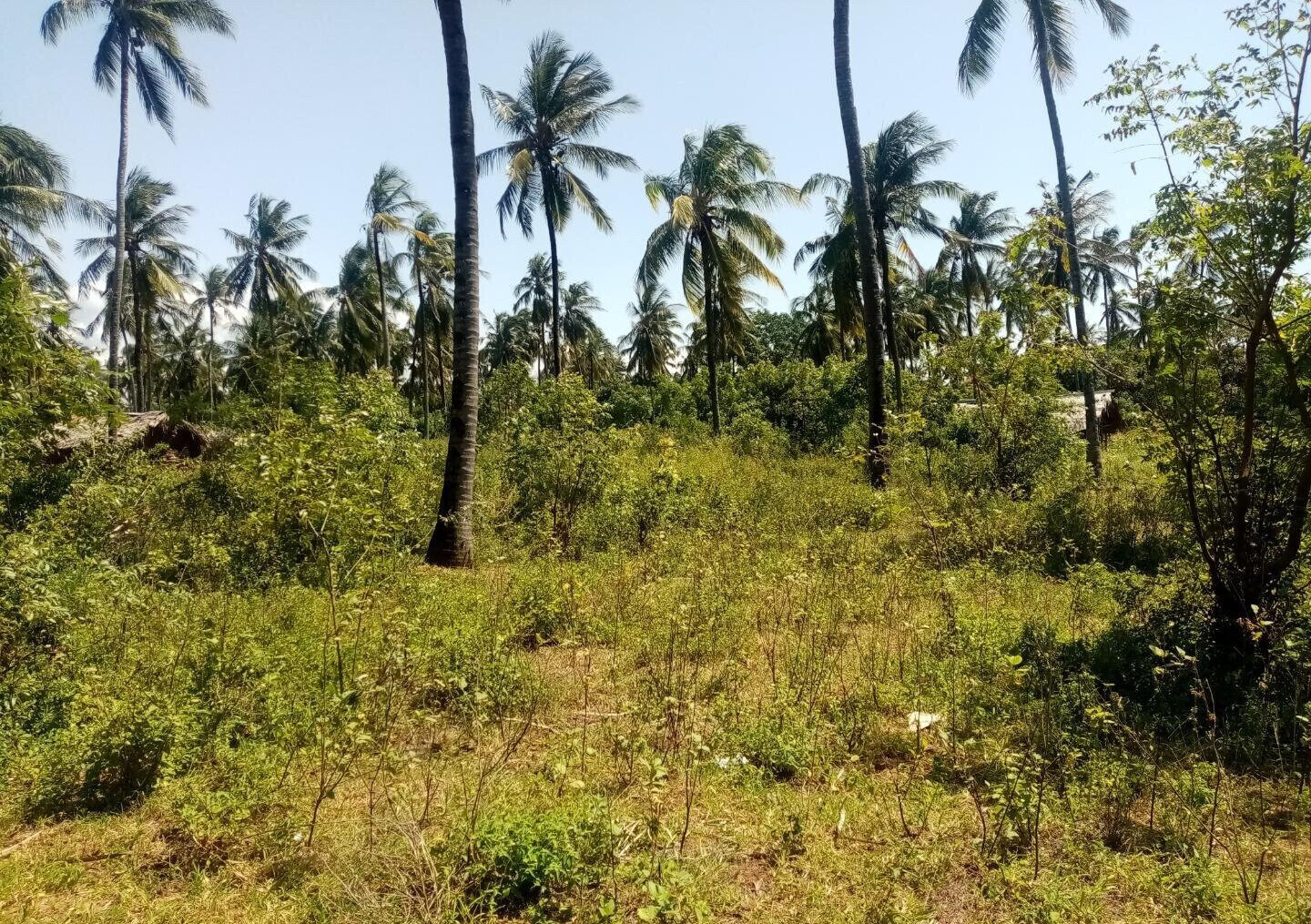 1/8 Acre Plot Near Watamu