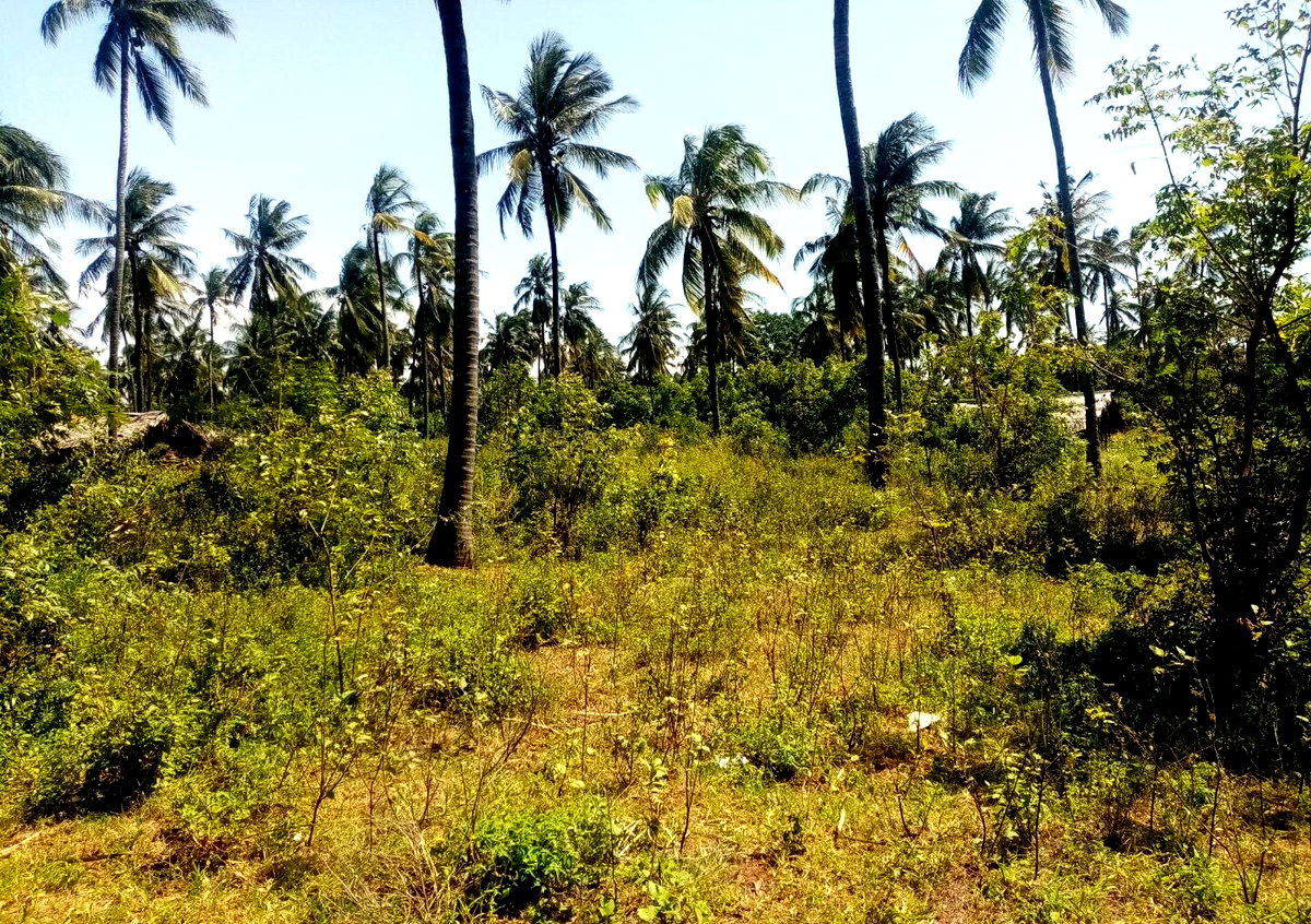 1/8 Acre Plot Near Watamu
