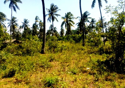 1/8 Acre Plot Near Watamu