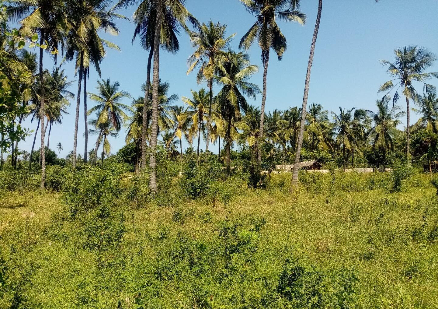 1/8 Acre Plot Near Watamu