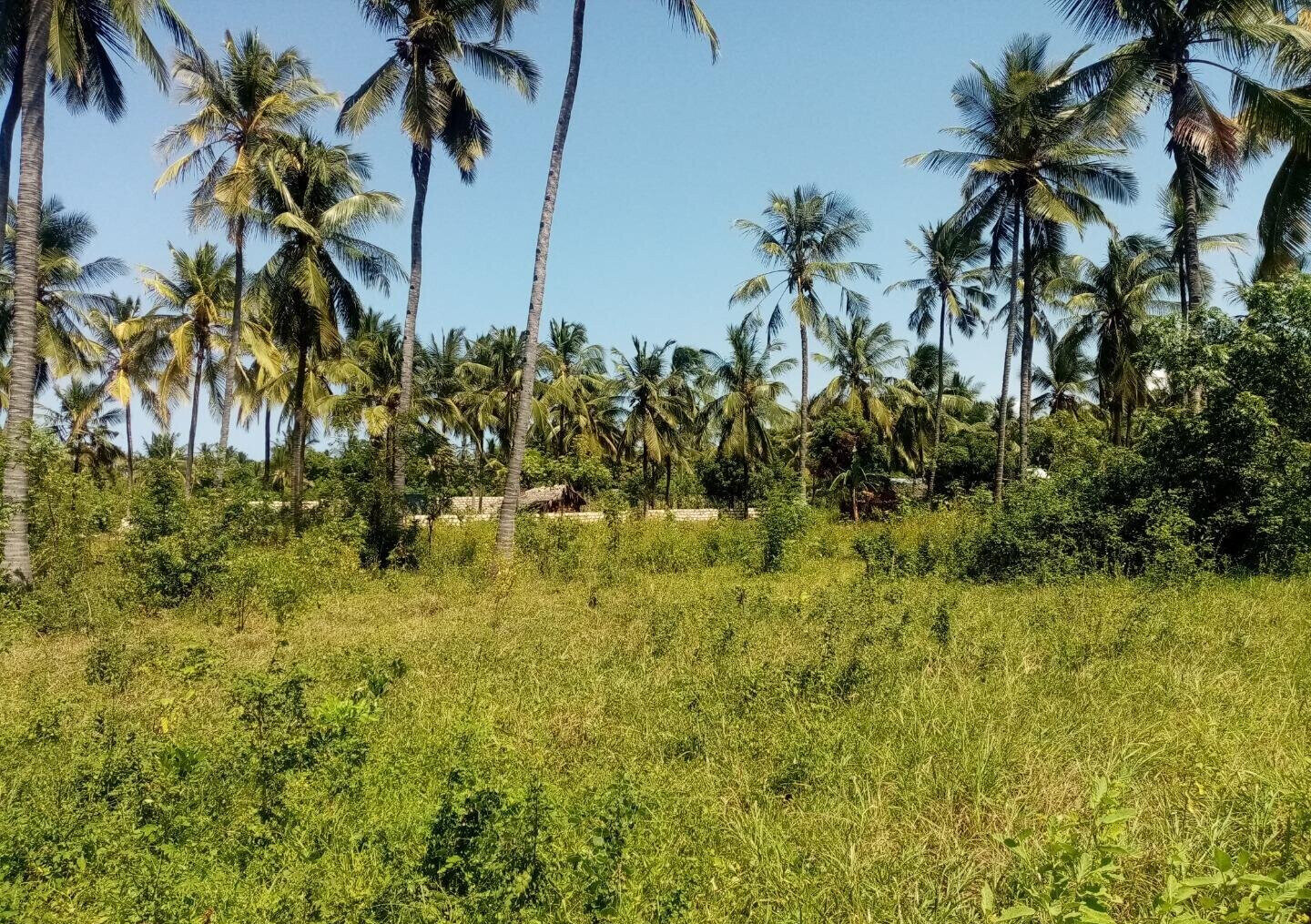1/8 Acre Plot Near Watamu