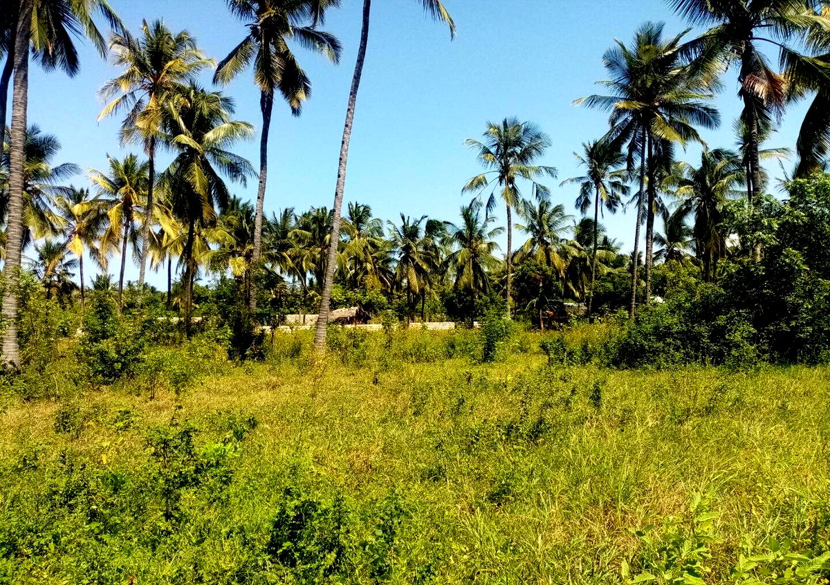 1/8 Acre Plot Near Watamu