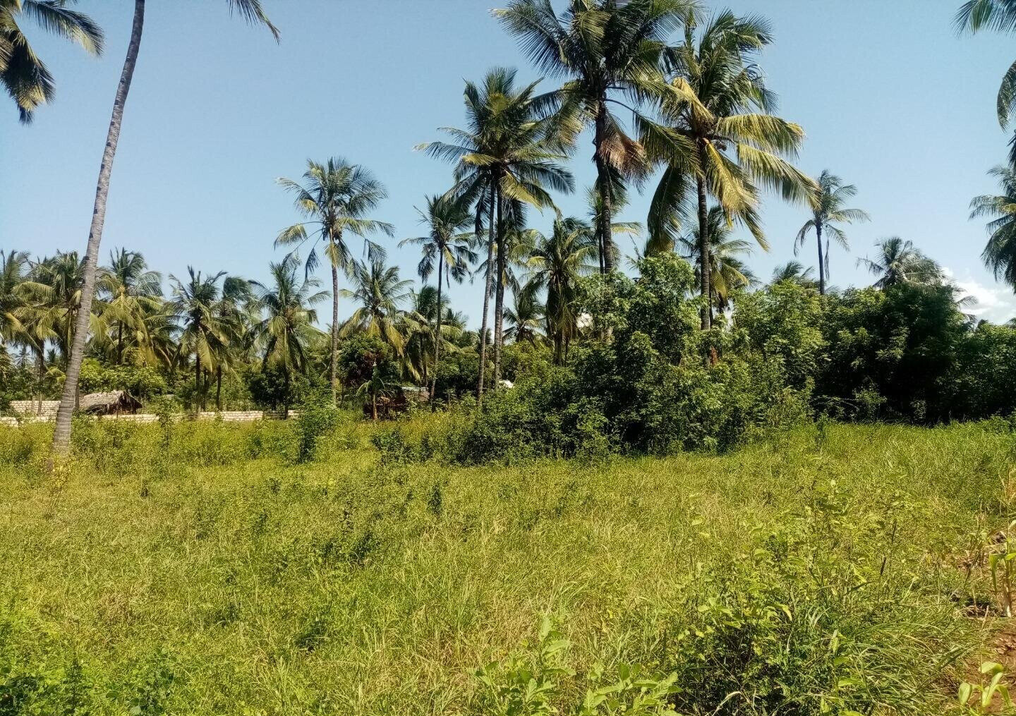 1/8 Acre Plot Near Watamu