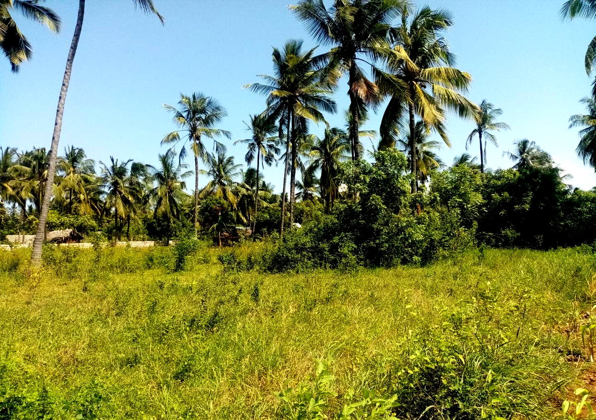 1/8 Acre Plot Near Watamu