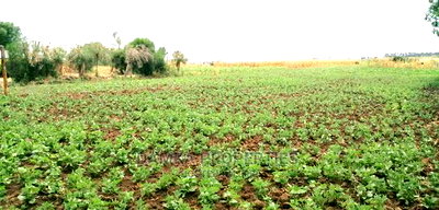 50*100 Plots for Sale at Sobea, Nakuru - Image 2