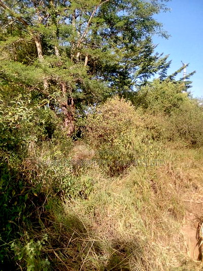 3.75 Acre FARM.MOSA - Image 1