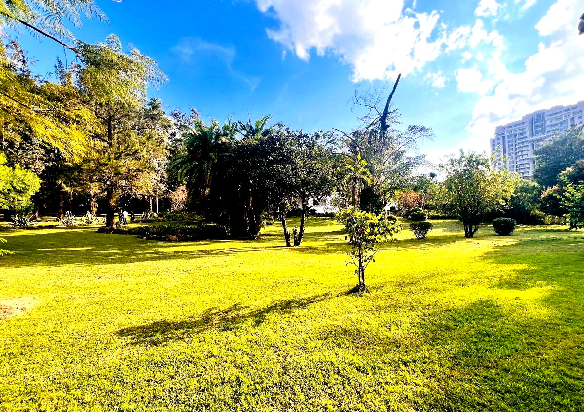 2.5-Acre Riverside Plot with Garden