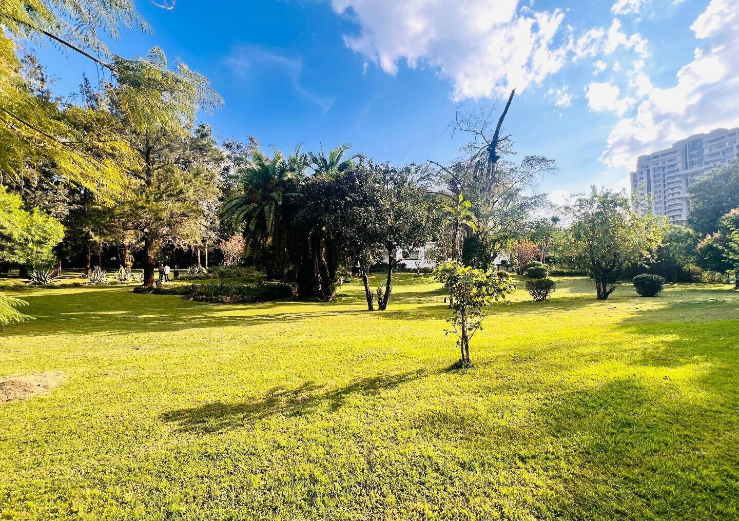2.5-Acre Riverside Plot with Garden