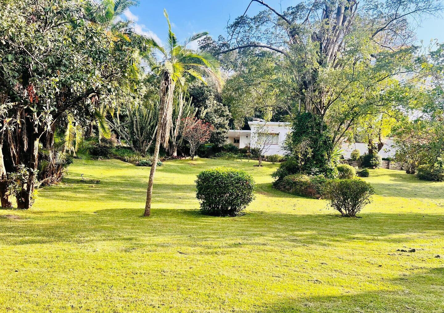 2.5-Acre Riverside Plot with Garden