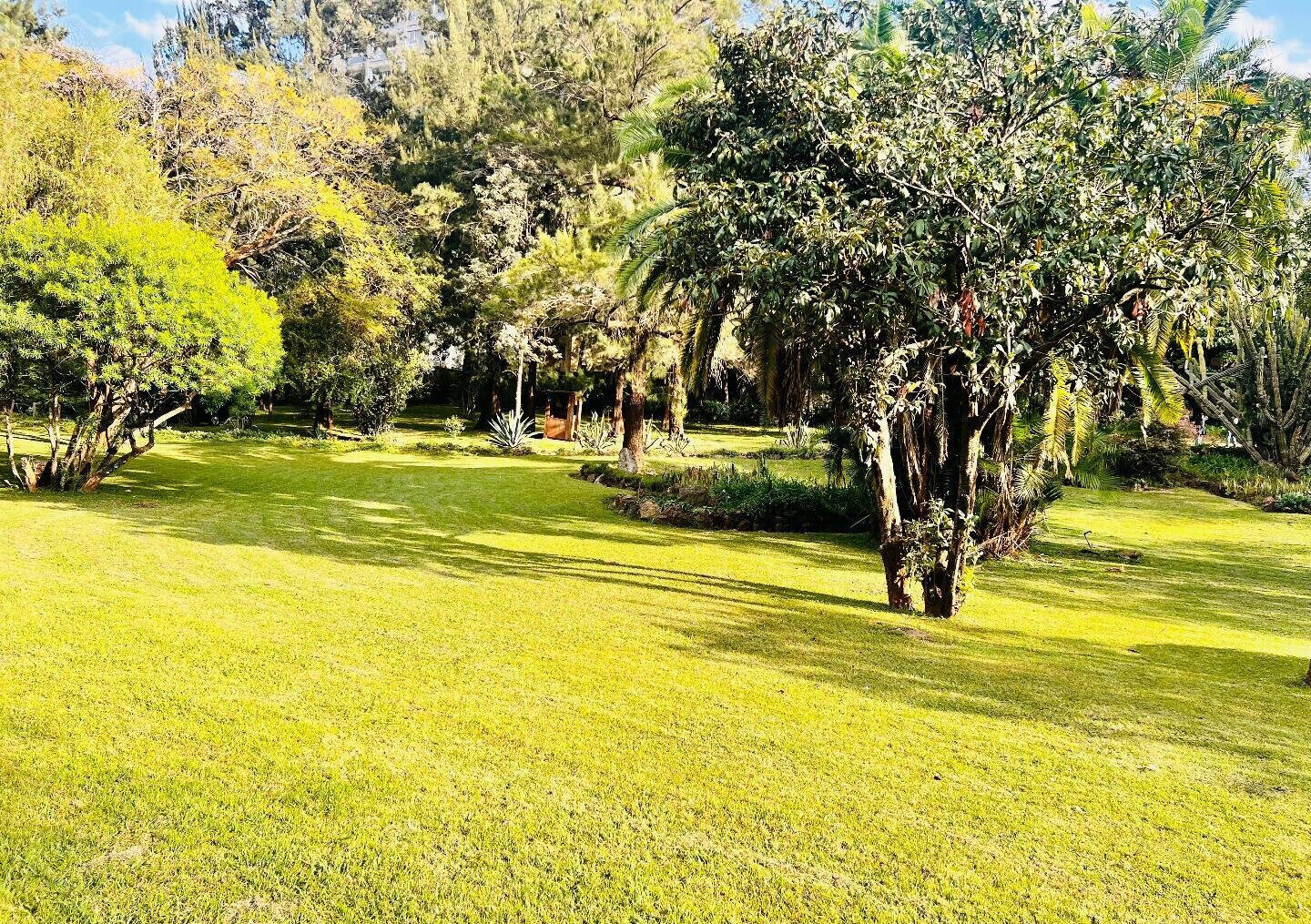 2.5-Acre Riverside Plot with Garden