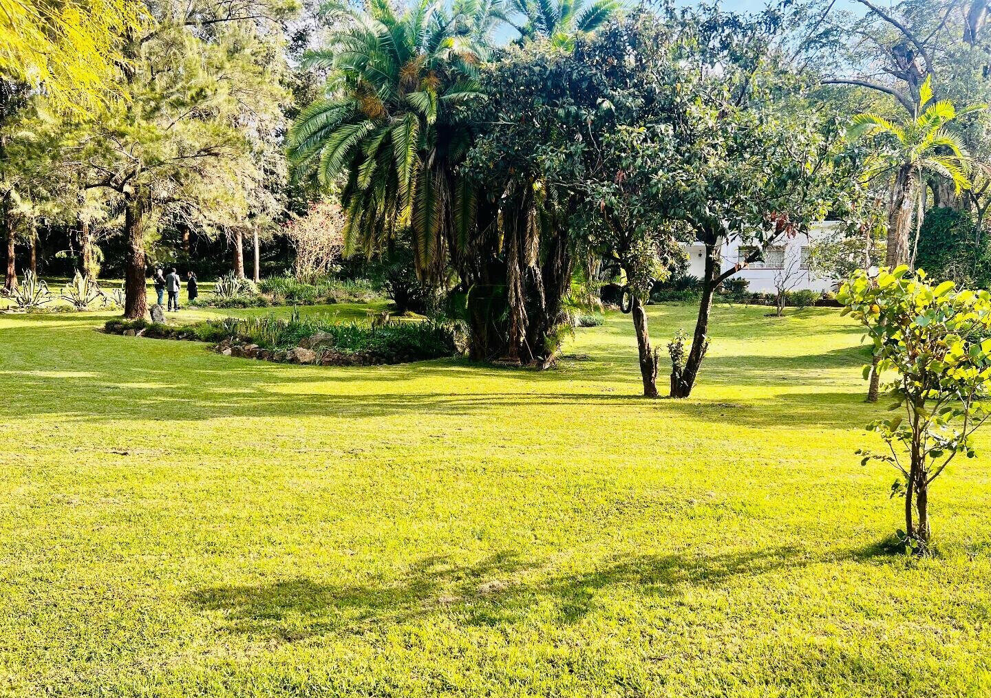 2.5-Acre Riverside Plot with Garden