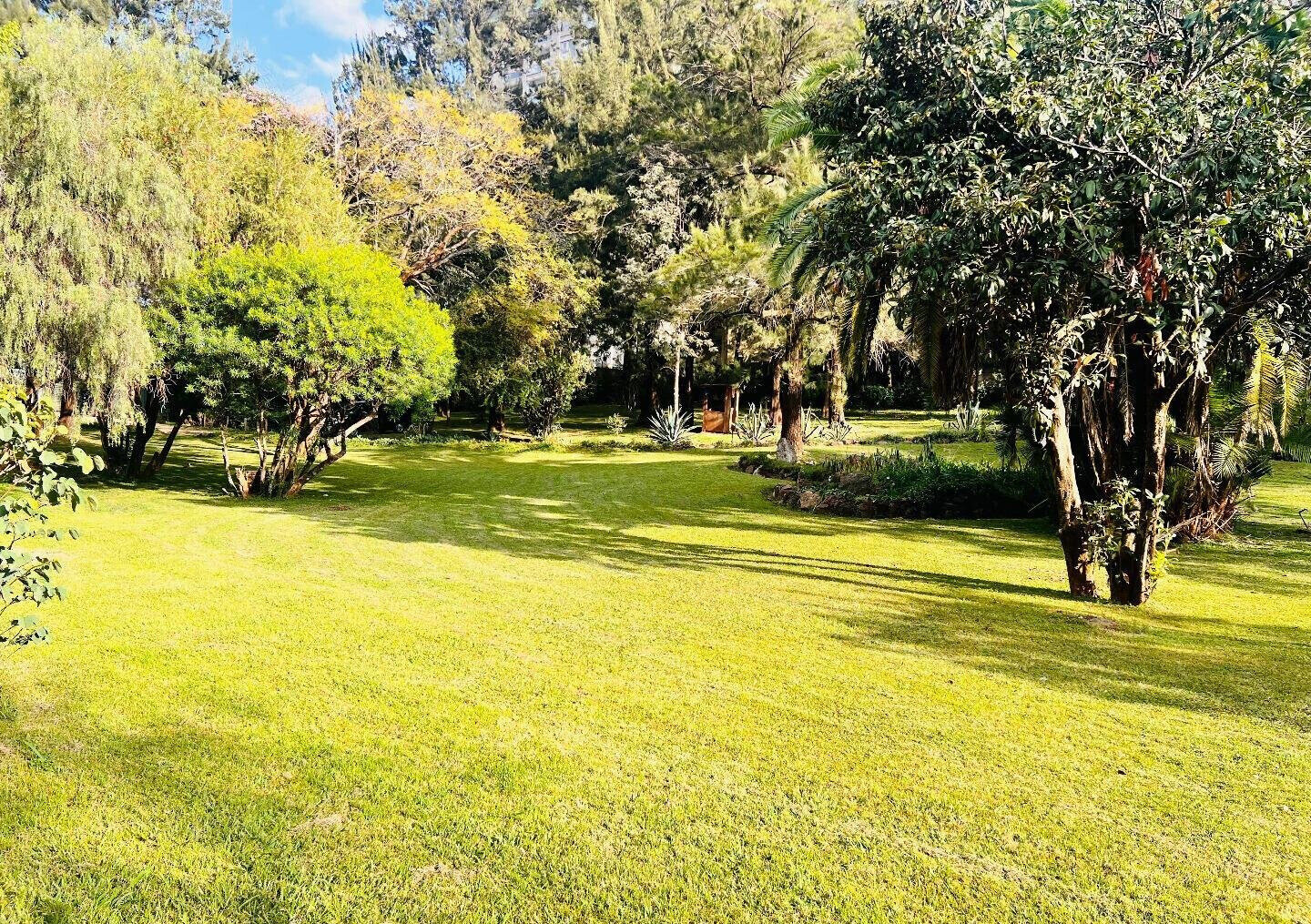 2.5-Acre Riverside Plot with Garden