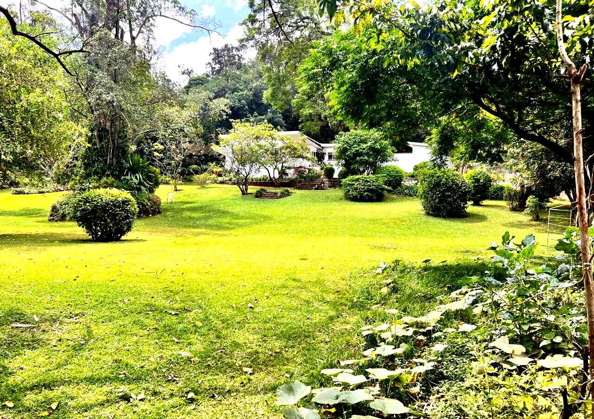 2.5-Acre Riverside Plot with Garden