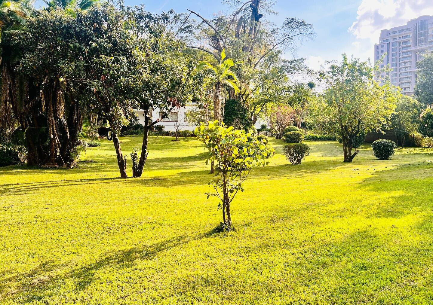 2.5-Acre Riverside Plot with Garden
