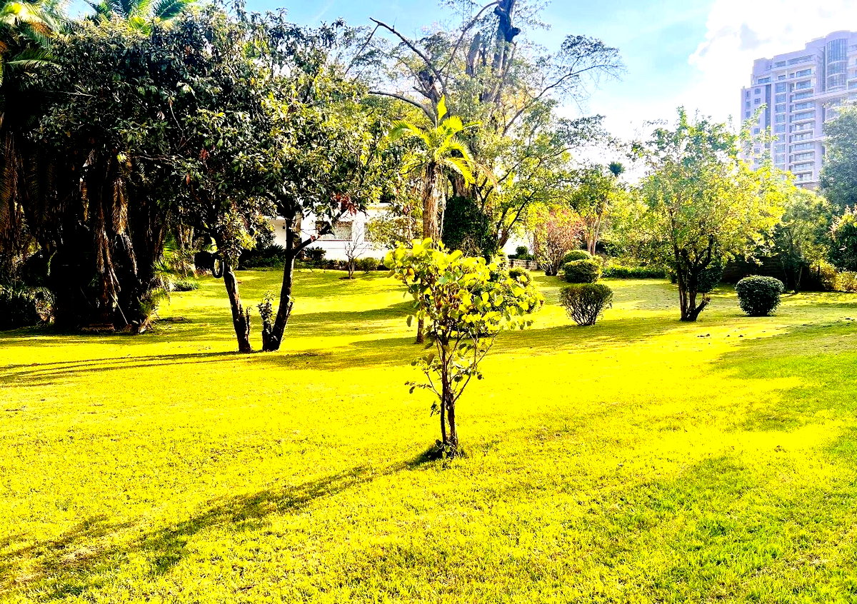 2.5-Acre Riverside Plot with Garden