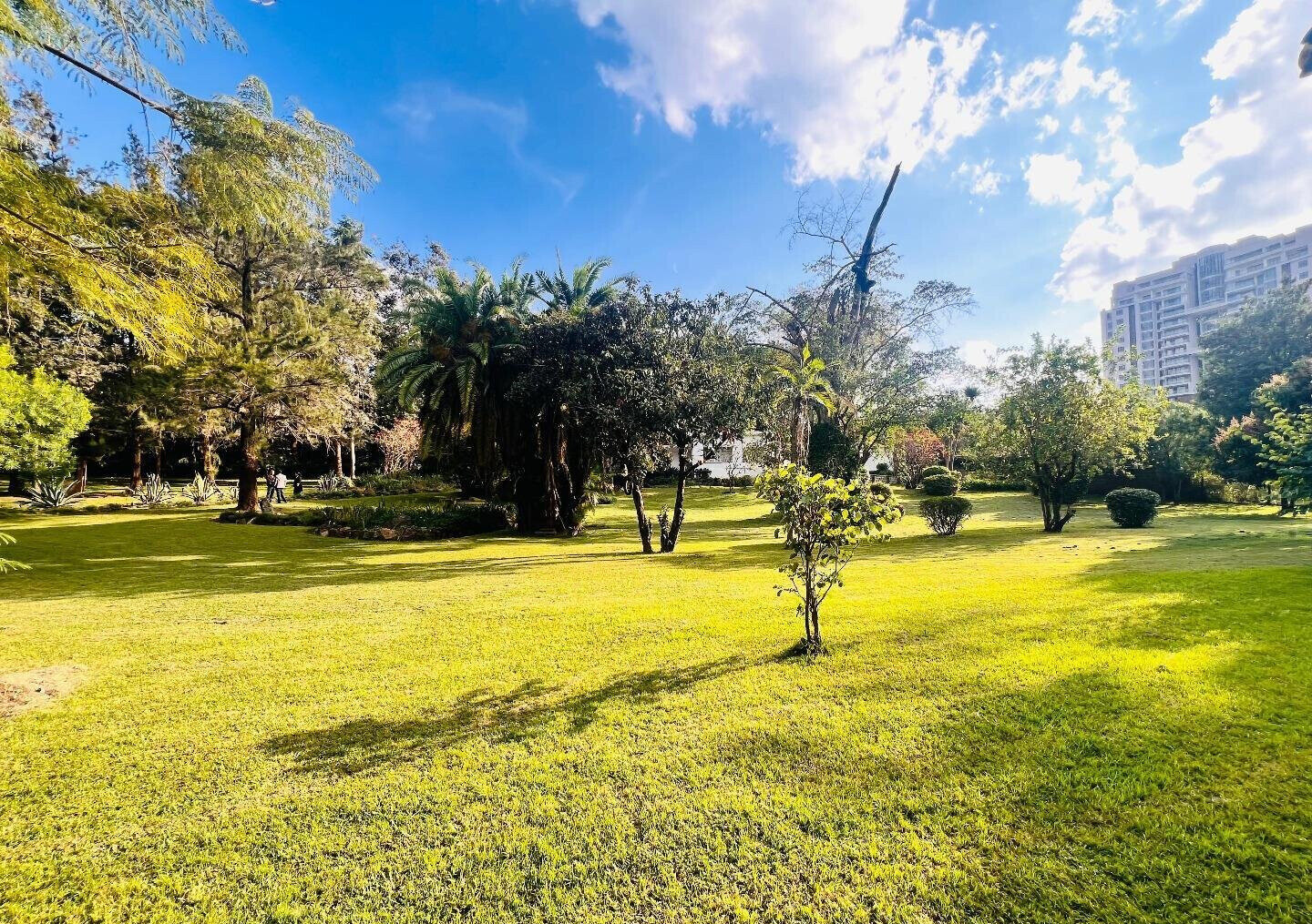 2.5-Acre Riverside Plot with Garden