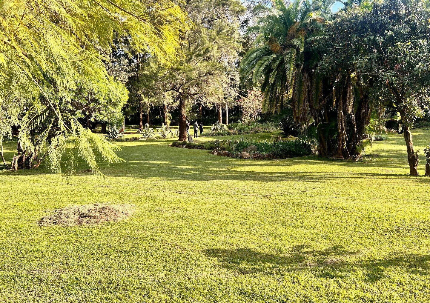 2.5-Acre Riverside Plot with Garden