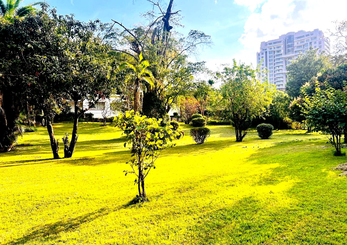 2.5-Acre Riverside Plot with Garden