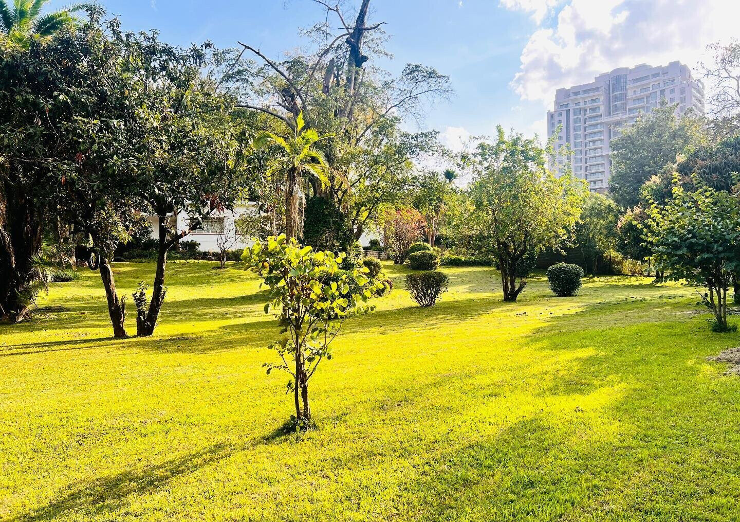 2.5-Acre Riverside Plot with Garden