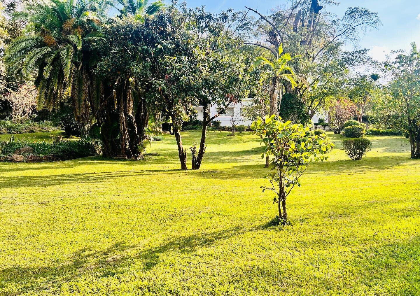 2.5-Acre Riverside Plot with Garden