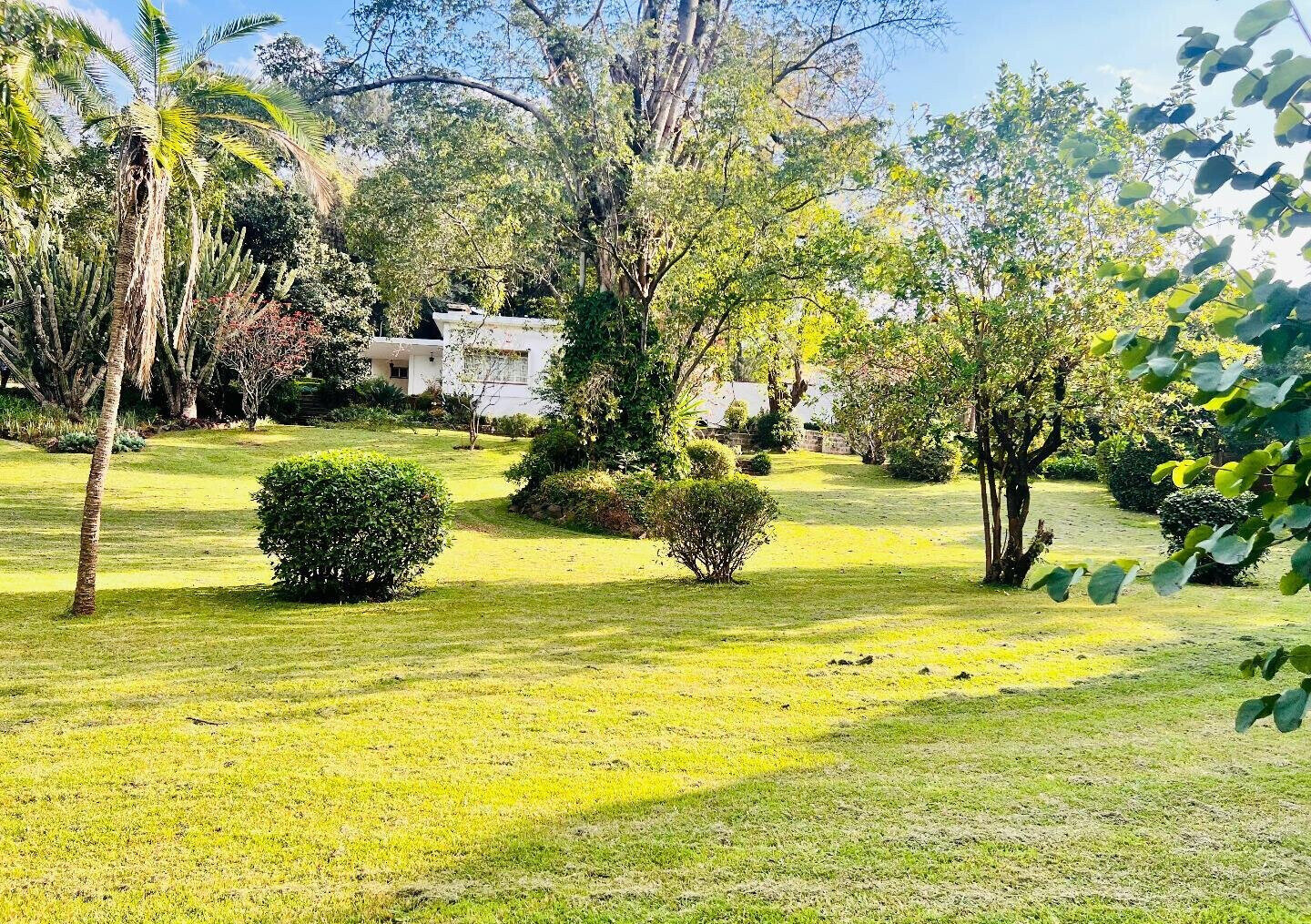 2.5-Acre Riverside Plot with Garden