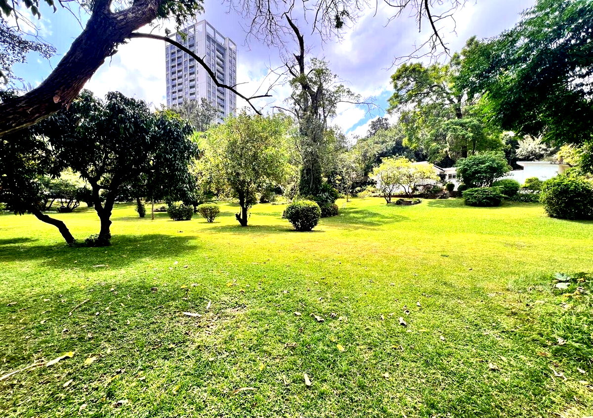 2.5-Acre Riverside Plot with Garden